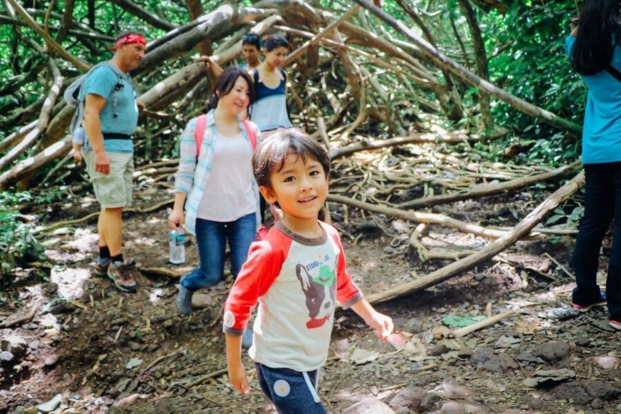 Oahu: Manoa Falls Waterfall Hike with Lunch and Transfers - Lunch above Honolulu at Tantalus Lookout