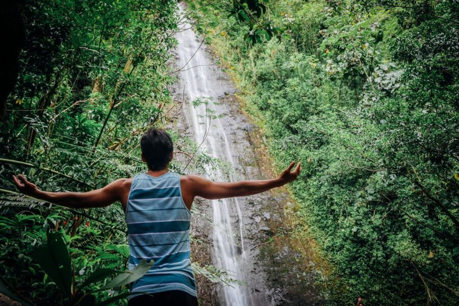 Oahu: Manoa Falls Waterfall Hike with Lunch and Transfers - Should you book it?