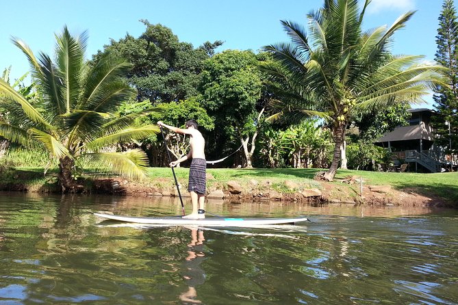Oahu North Shore Experience: Activities, Waterfall & Free Time - Key things to know before you book