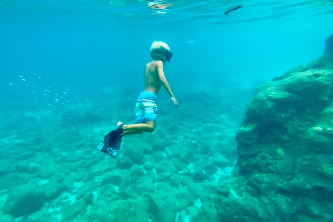Oahu North Shore Experience: Activities, Waterfall & Free Time - Waimea Valley’s plants and waterfall