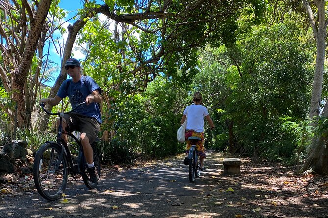 Oahu North Shore Experience: Activities, Waterfall & Free Time - Snorkeling at Shark’s Cove