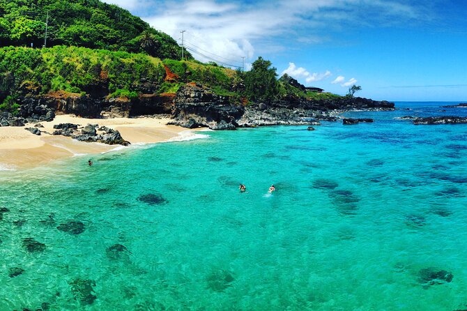Oahu North Shore Experience: Activities, Waterfall & Free Time - The Dole Plantation drive-by and roadside flavor