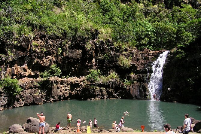 Oahu North Shore Experience: Activities, Waterfall & Free Time - Macadamia coffee at Tropical Farms