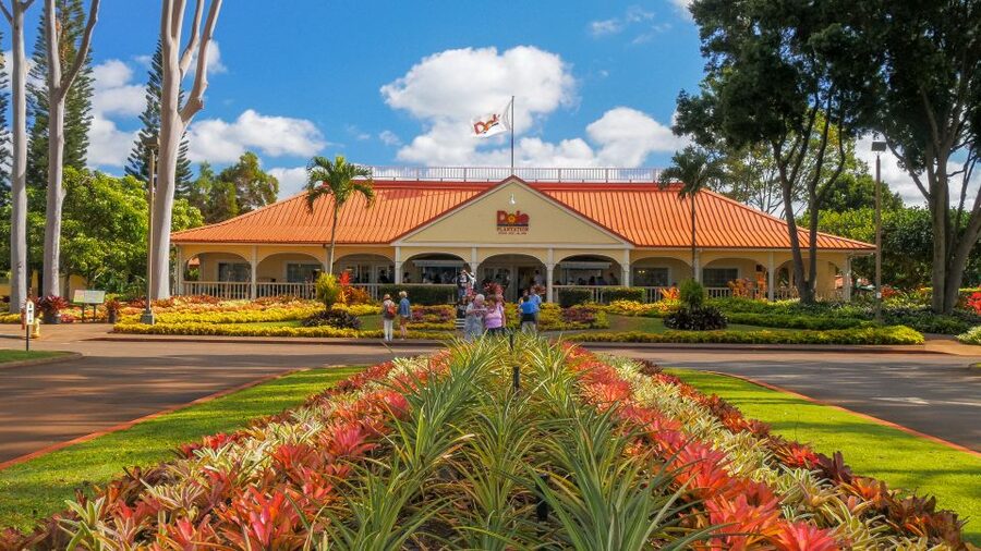 Oahu: Oahu Ultimate Grand Circle Island Tour - Key points to know before booking