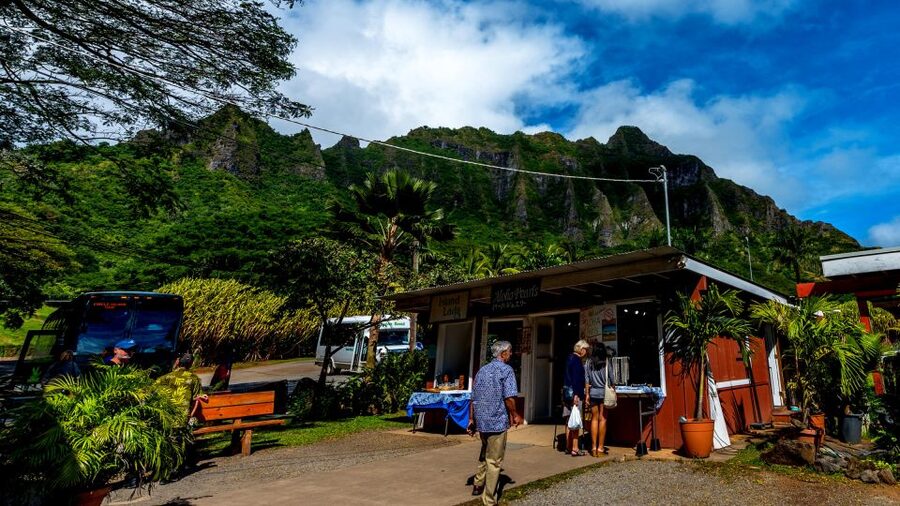 Oahu: Oahu Ultimate Grand Circle Island Tour - Macadamia nuts, coffee, and a taste of the North Shore