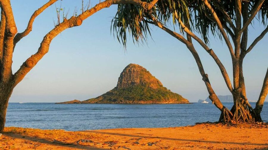 Oahu: Oahu Ultimate Grand Circle Island Tour - Haleiwa and Dole Plantation