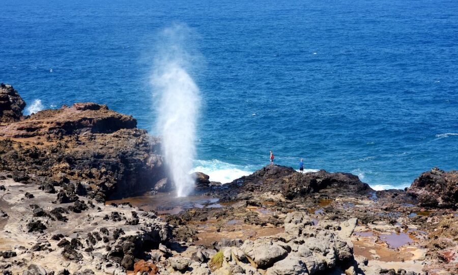 Oahu: Oahu Ultimate Grand Circle Island Tour - Starting at Diamond Head and the Kahala coast