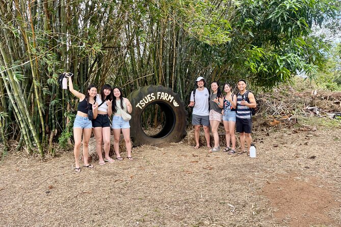 Oahu: Roundtrip Shuttle From Waikiki to Dole Plantation & Haleiwa - Haleiwa from 11:45 AM to 2:15 PM