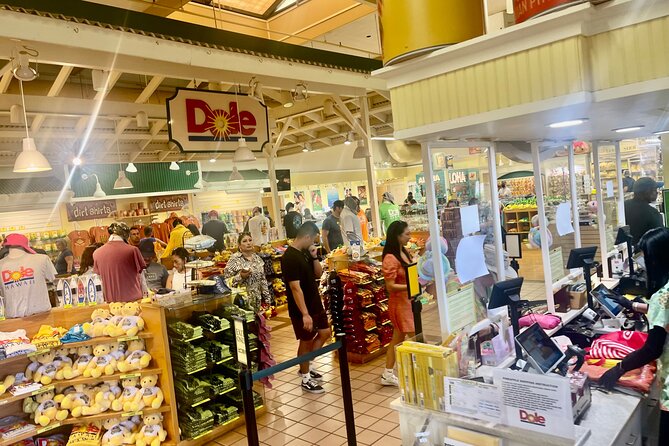 Oahu: Roundtrip Shuttle From Waikiki to Dole Plantation & Haleiwa - Comfort, weather, and the pace of the ride