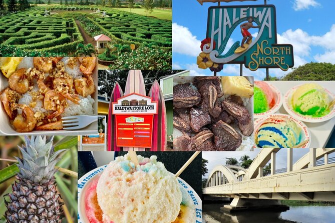 Oahu: Roundtrip Shuttle From Waikiki to Dole Plantation & Haleiwa - Who should book this experience?