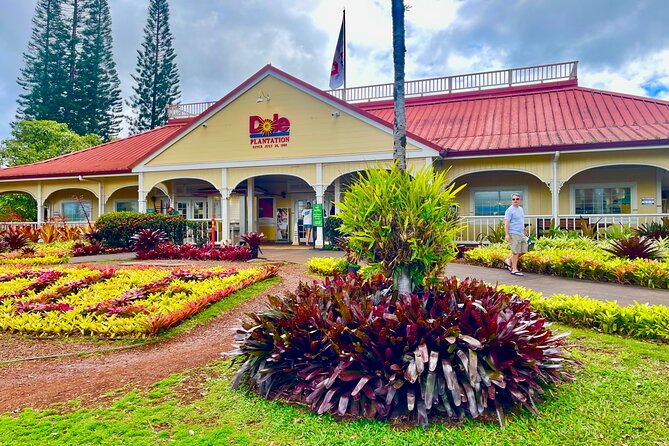 Oahu: Roundtrip Shuttle From Waikiki to Dole Plantation & Haleiwa - Green World Coffee Farms before 9:30 AM
