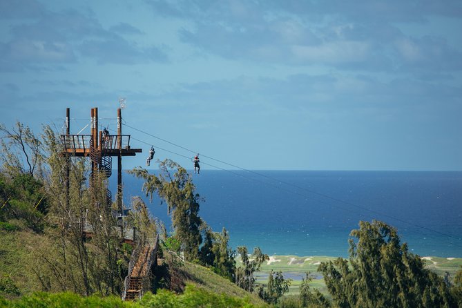 Oahu's North Shore: 8-Line Zipline Adventure - Rappels, sky bridges, and boardwalk challenges