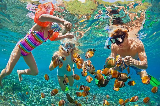 Oahu's Ultimate Tour: Dole, Turtle Snorkel, Pali Lookout & More - Why this tour works for first-time Oahu visitors