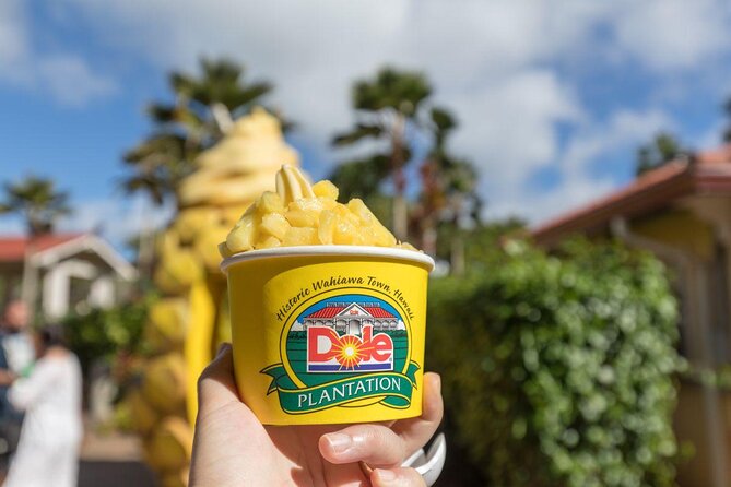 Oahu's Ultimate Tour: Dole, Turtle Snorkel, Pali Lookout & More - Dole Plantation and the final rush