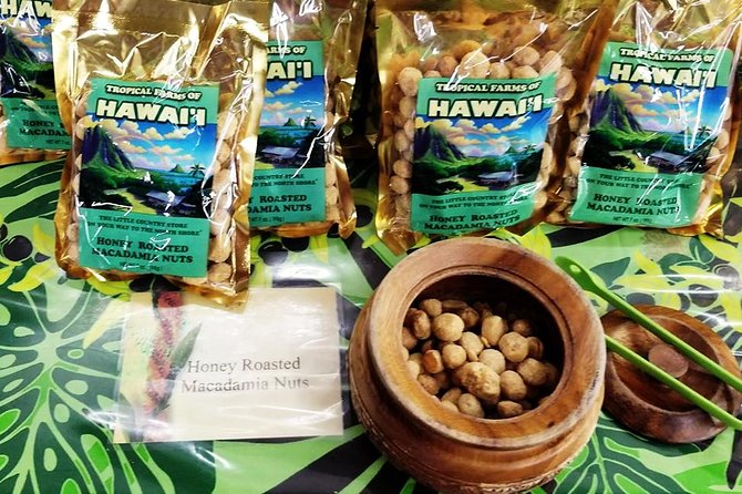 Oahu's Ultimate Tour: Dole, Turtle Snorkel, Pali Lookout & More - The bus, guide style, and day-to-day reliability