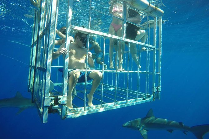 Oahu Shark Dive - Leaving Haleiwa Harbor for open Pacific water