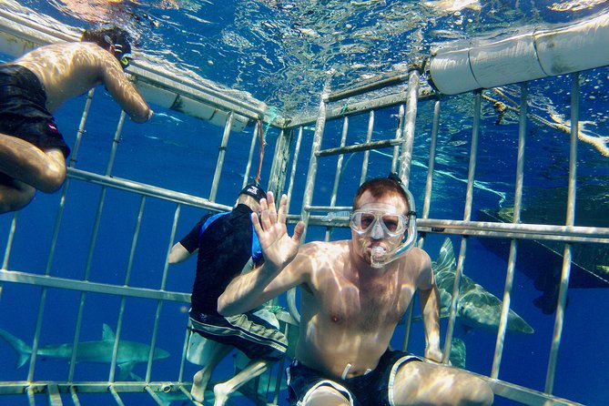 Oahu Shark Dive - A clear safety briefing before you enter the cage