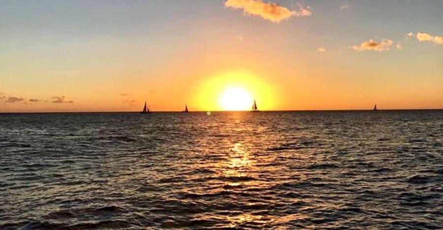 Oahu: Waikiki Glass Bottom Boat Sunset Cruise - The glass-bottom question