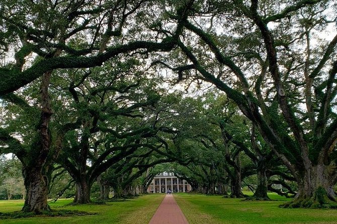 Oak Alley and Laura Plantation Tour with Transportation from New Orleans - Laura Plantation and the Creole family story