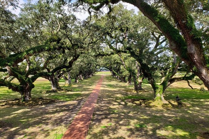 Oak Alley and Laura Plantation Tour with Transportation from New Orleans - The guide can shape the entire day