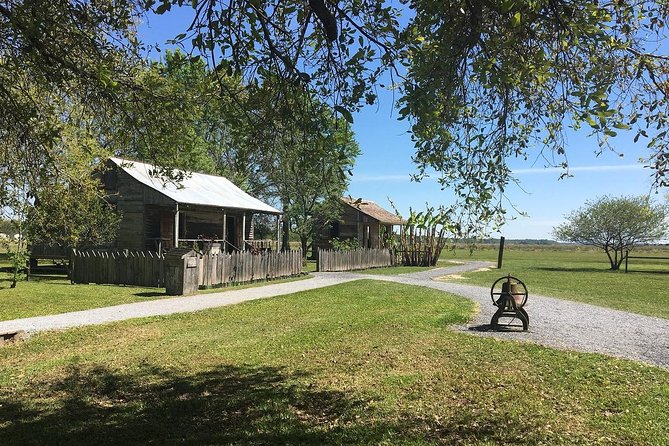 Oak Alley and Laura Plantation Tour with Transportation from New Orleans - Who will get the most from this tour