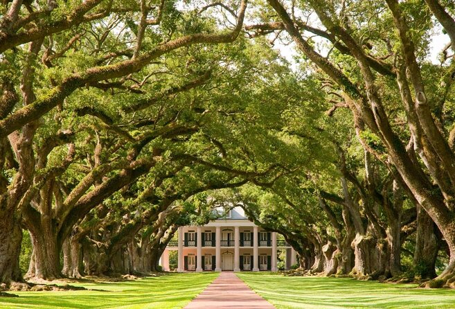 Oak Alley Plantation Tour with Transportation from New Orleans - Key points at a glance