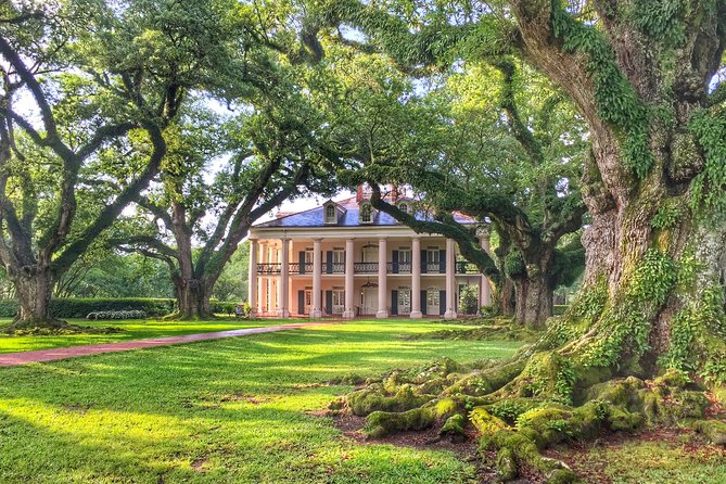 Oak Alley Plantation Tour with Transportation from New Orleans - Why Oak Alley makes a strong first plantation visit