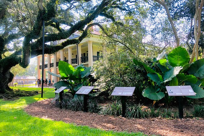 Oak Alley Plantation Tour with Transportation from New Orleans - How much time you really have