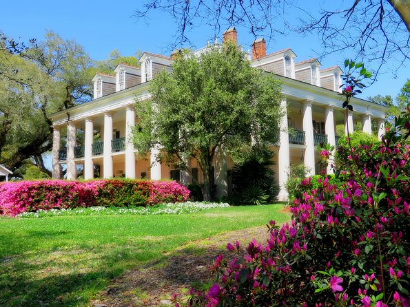 Oak Alley Plantation Tour with Transportation from New Orleans - The optional 90-minute swamp tour
