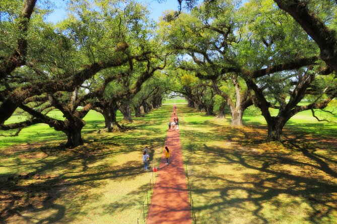 Oak Alley Plantation Tour with Transportation from New Orleans - Is $89 a fair price?