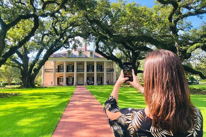 Oak Alley Plantation Tour with Transportation from New Orleans - The quarter-mile approach to Oak Alley