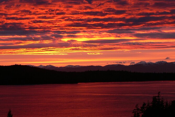Off the Beaten Path Ketchikan Photo Safari - 3 hr. - Potlatch Totem Park: the longest cultural stop