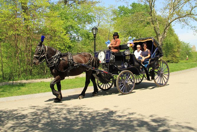 Official NYC Horse Carriage Rides in Central Park since 1979 ™ - What makes this Central Park ride worth considering