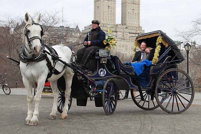 Official NYC Horse Carriage Rides in Central Park since 1979 ™ - The $99 price and who gets the best value