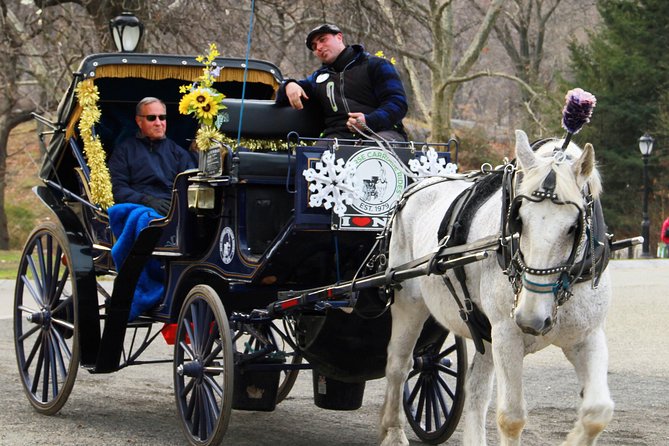 Official NYC Horse Carriage Rides in Central Park since 1979 ™ - Literary Walk, Balto, and Conservatory Water