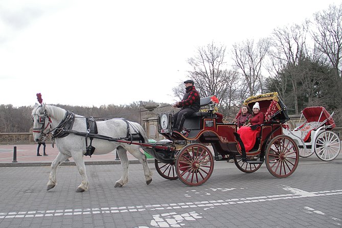 Official NYC Horse Carriage Rides in Central Park since 1979 ™ - Bethesda Terrace and the Lake