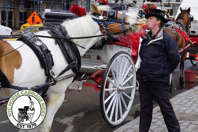 Official NYC Horse Carriage Rides in Central Park since 1979 ™ - Cherry Hill and the Bow Bridge