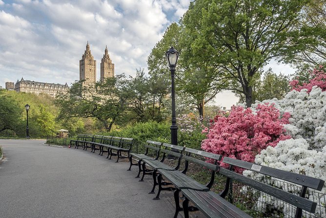 Official NYC Horse Carriage Rides in Central Park since 1979 ™ - Heckscher Playground and Columbus Circle