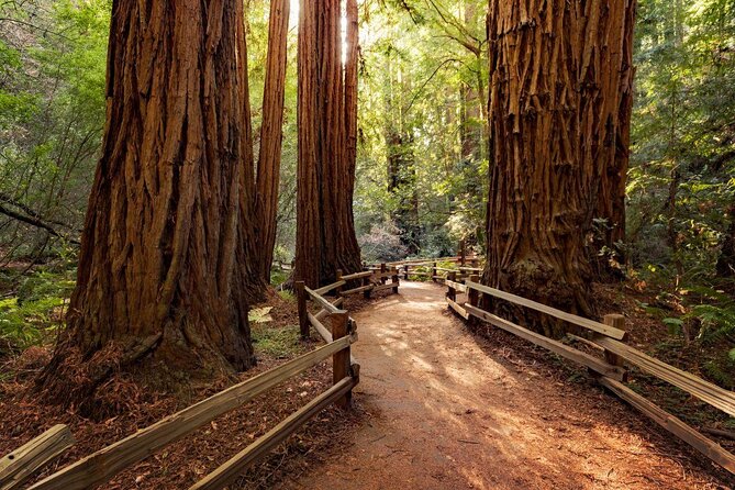 One Day in San Francisco: Alcatraz, Muir Woods, and SF City Tour - Key Points Before You Book