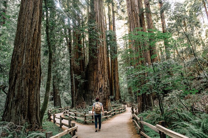 One Day in San Francisco: Alcatraz, Muir Woods, and SF City Tour - Crissy Field and Fort Point Beneath the Golden Gate Bridge