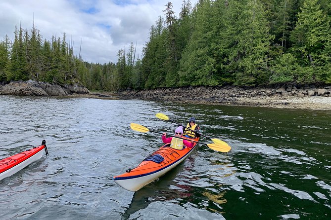 Orca Cove Sea Kayaking - Is It Suitable for Cruise Passengers?