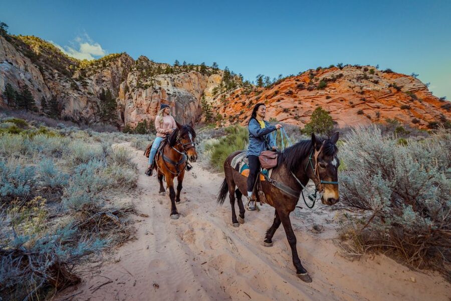 Orderville: East Zion Park White Mountain Horseback Tour - Key points to know before booking