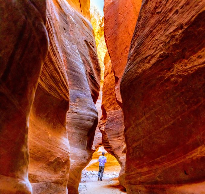 Orderville: East Zion Park White Mountain Horseback Tour - Riding the East Zion backcountry trail