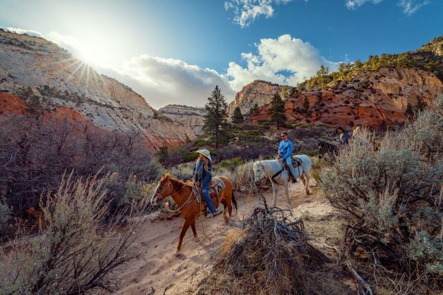 Orderville: East Zion Park White Mountain Horseback Tour - The ride back to the stables