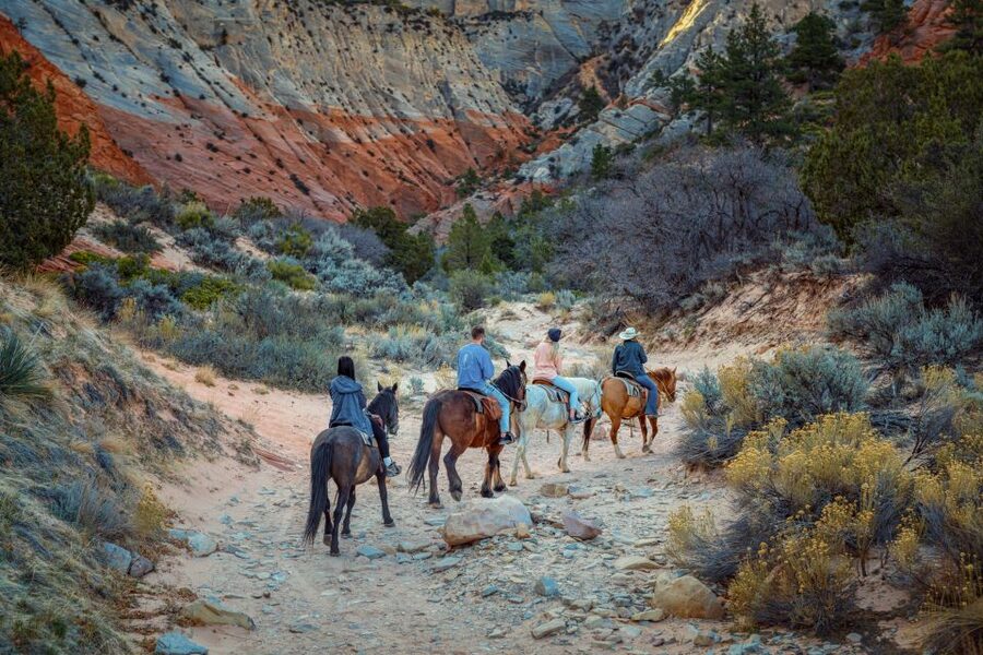 Orderville: East Zion Park White Mountain Horseback Tour - What the $67 price really buys you