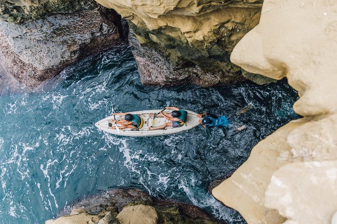 Original La Jolla Sea Cave Kayak Tour for Two - Wildlife sightings and conservation stories