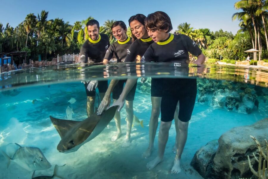 Orlando: Discovery Cove Admission Ticket & Additional Parks - Key points before you book