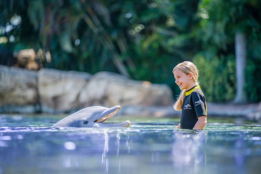 Orlando: Discovery Cove Admission Ticket & Additional Parks - The 14-day SeaWorld, Aquatica, and Busch Gardens option