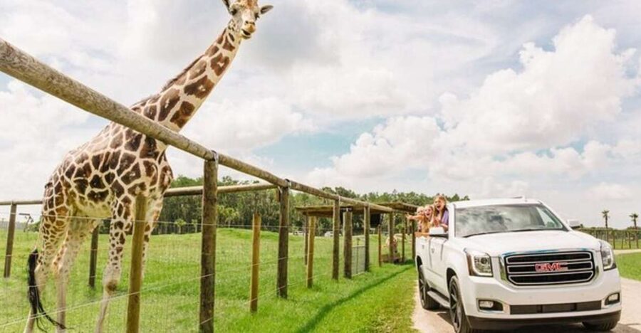 Orlando: Drive-Thru Safari Park at Wild Florida - Key Points About the Safari