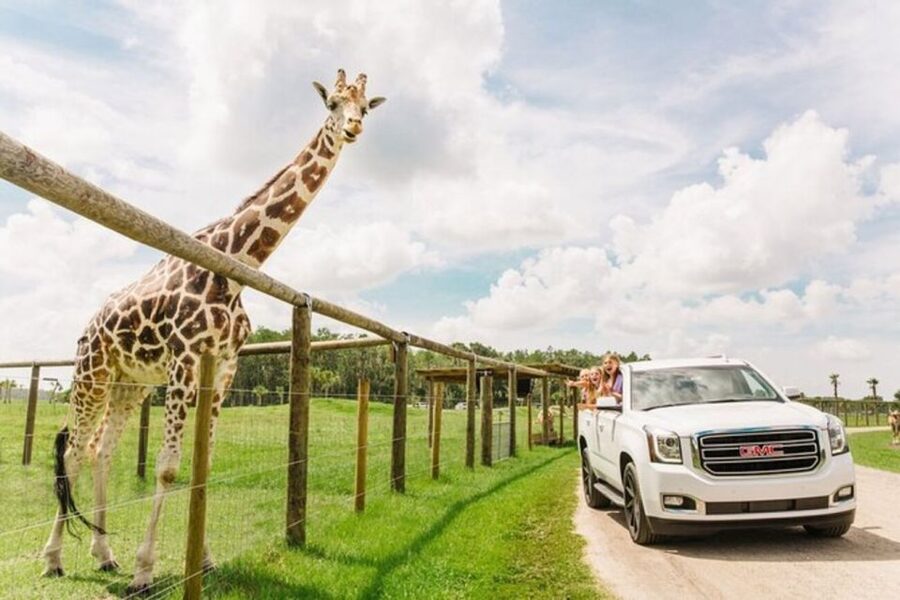 Orlando: Drive-Thru Safari Park at Wild Florida - Starting the Drive Through Open Animal Areas